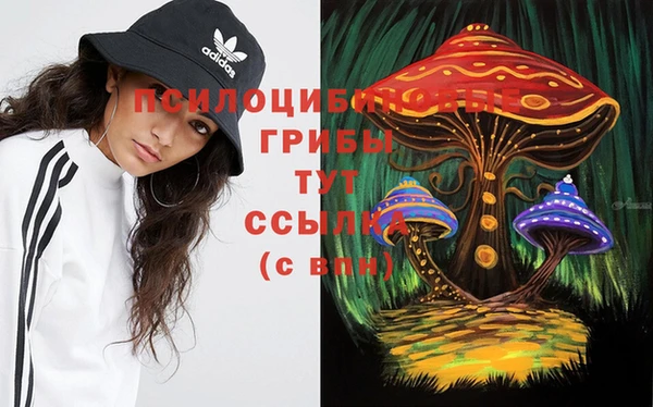 дурь Надым