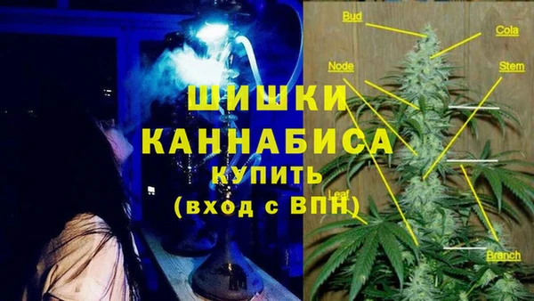 дурь Надым